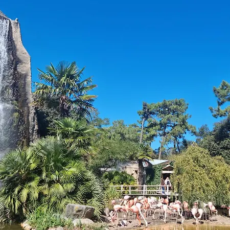 Proche Διαμέρισμα *